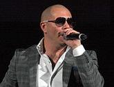 pitbull