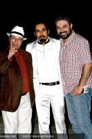 گزارش تصویری از کنسرت روزبه نعمت‌اللهی در کاخ نیاوران - 1