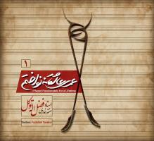 کاورهای آلبوم «عمری عاشقانه نواختم» اثر «فضل الله توکل»